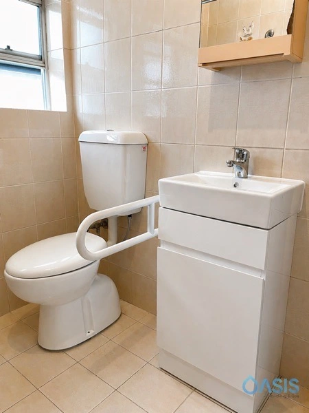 install new toilet, install new vanity, inner west plumber